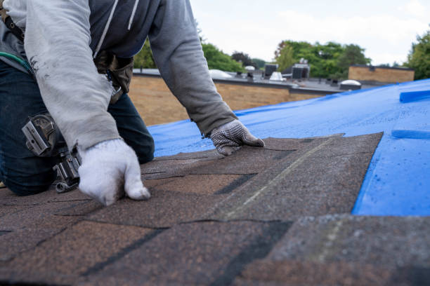 Quick and Trustworthy Emergency Roof Repair Services in La Fayette, AL