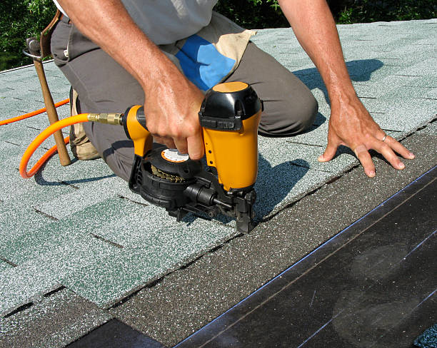 Best Roof Repair Services  in La Fayette, AL