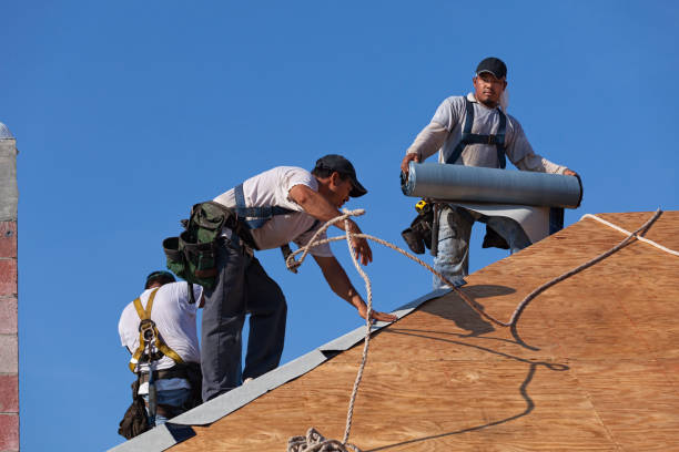 Best Best Roofing Contractors  in La Fayette, AL