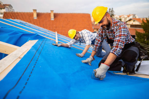 Best Commercial Roofing Services  in La Fayette, AL