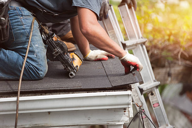 Best Storm Damage Roof Repair  in La Fayette, AL