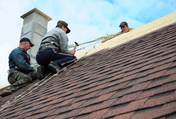 Best Flat Roof Repair Services  in La Fayette, AL