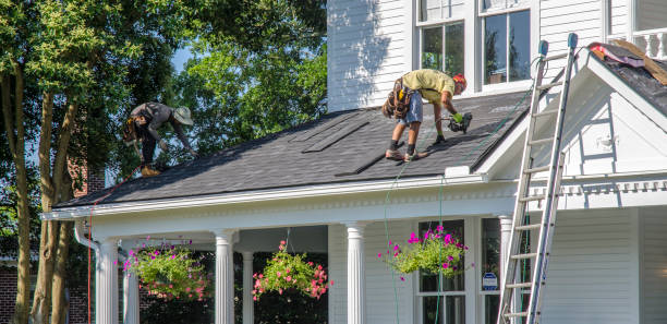 Best Roof Maintenance Services  in La Fayette, AL