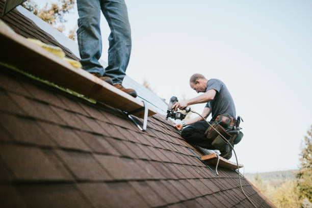 Best Commercial Roofing Services  in La Fayette, AL